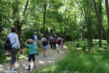 RANDONNÉE MILLE PATTES DANS LA VILLE ET LE PARC - 12 JUIN 2021